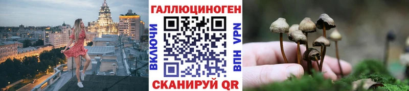 кракен сайт  Янаул  Галлюциногенные грибы Psilocybine cubensis  закладки 